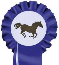 HKM single rosette show bow, blue/white