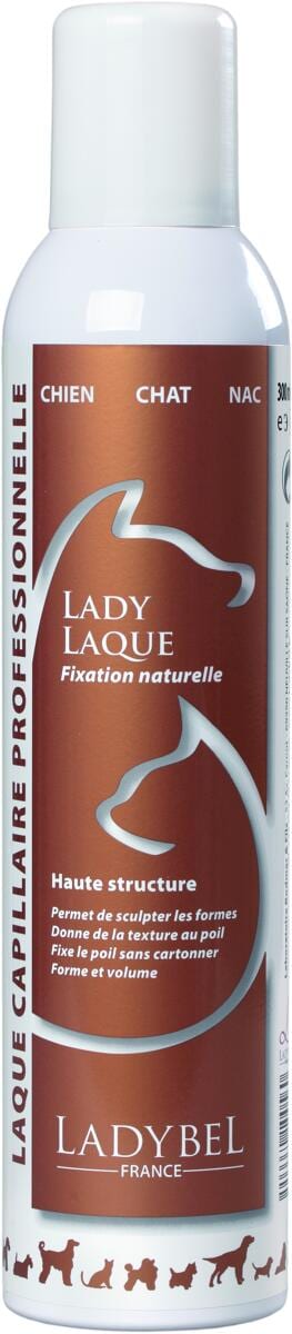 LadyBel Lady Laque Modellspray, 300ml
