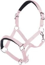 HKM Cavezza Catherine, rosa chiaro, purosangue