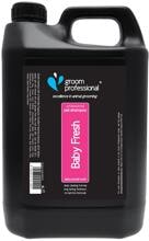 Groom Professional Baby Fresh Shampoo