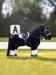 LeMieux Snaffle per pony giocattolo