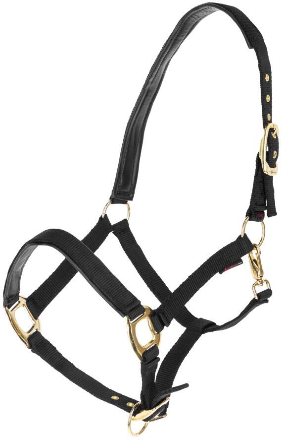 Covalliero TopLine Halfter, schwarz, Cob