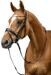 HKM Melinda Snaffle, nero
