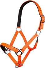 HKM Stars Softice cavezza, fodera morbida, arancio neon, warmblood