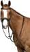Snaffle anatomico HKM, nero