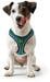 HUNTER Hilo Comfort Hundegeschirr