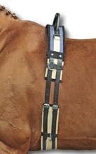 HKM lunging girth with handle, dark blue/beige, Shetty