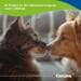 Canina Algae Lime