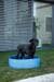 KERBL Pet Bubble Hundepool