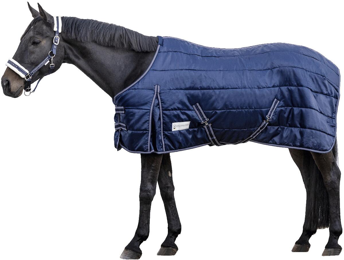 Waldhausen Economic Stalldecke, 100g, nachtblau, 155cm