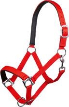 Cavezza HKM Stars, morbida imbottita, rossa, sangue freddo