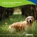 Canina Barfers Best Senior