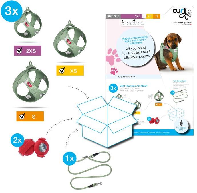 curli Puppy Starter Box, olive, XS/S/M