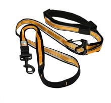 Kurgo Reflect & Protect Quantum Hundeleine, black/orange, 2m
