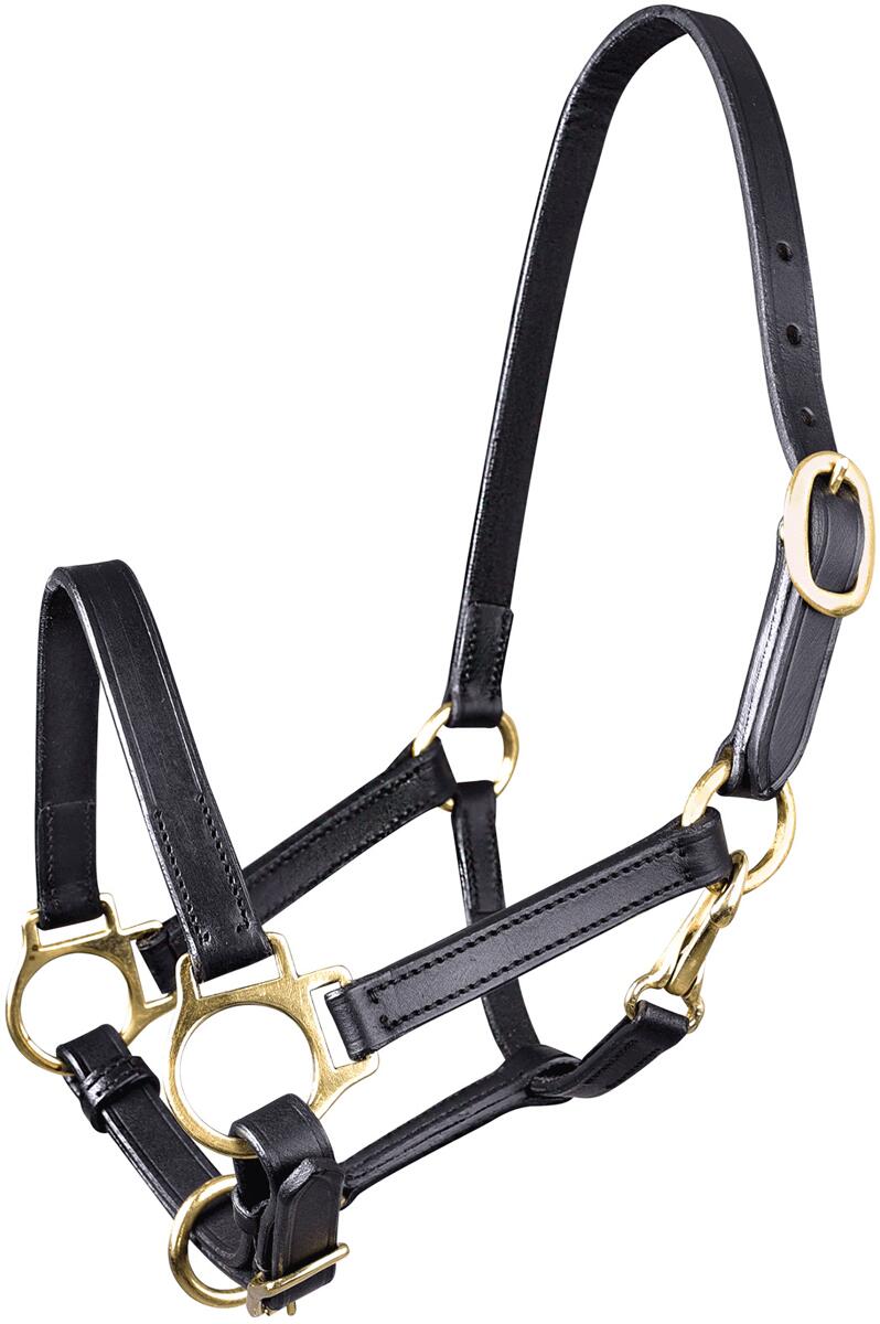 STAR Leder Fohlenhalfter, schwarz