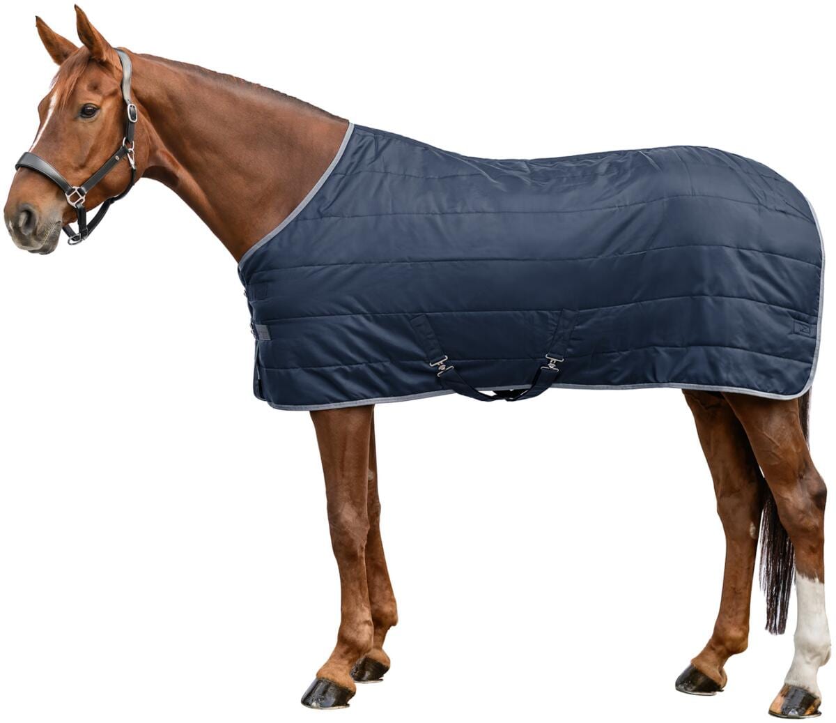 Waldhausen Economic Stalldecke, 200g, nachtblau, 125cm