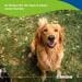 Canina Biotin Forte Tabletten