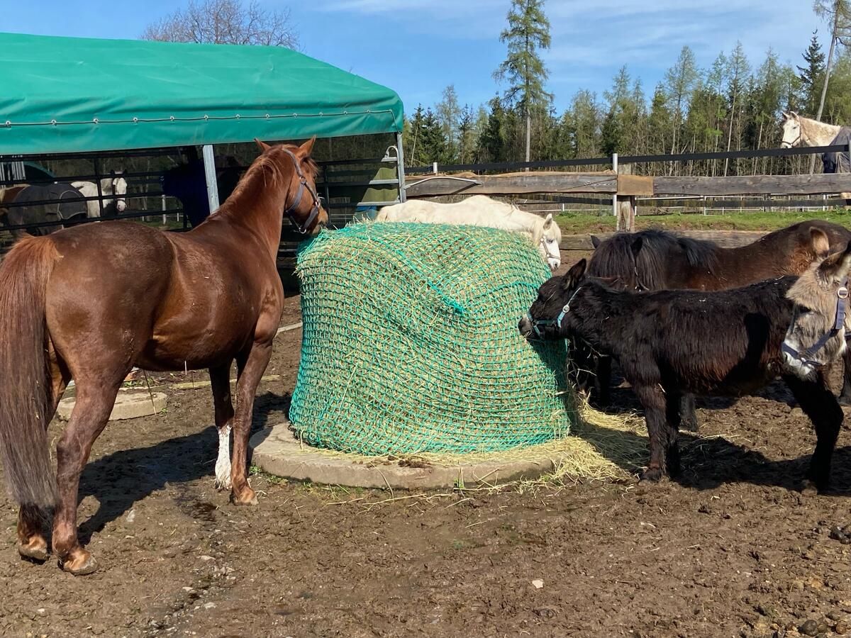 Göbel Heunetz für Rundballen, 1,8x1,8m