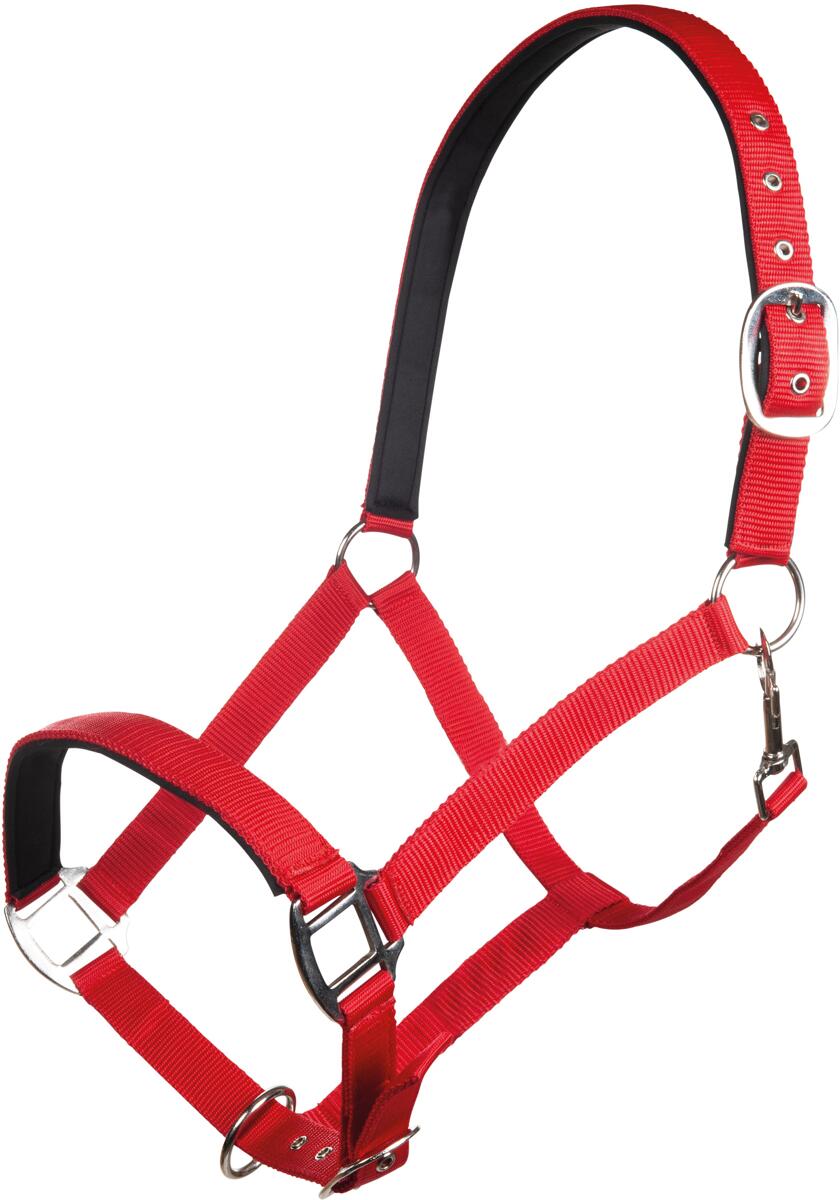 HKM Charming Halfter, weich unterlegt, kirschrot, Warmblut
