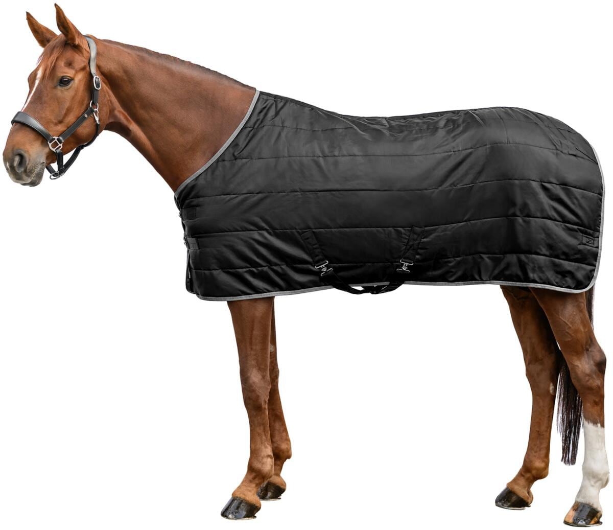 Waldhausen Economic Stalldecke, 100g, schwarz, 155cm