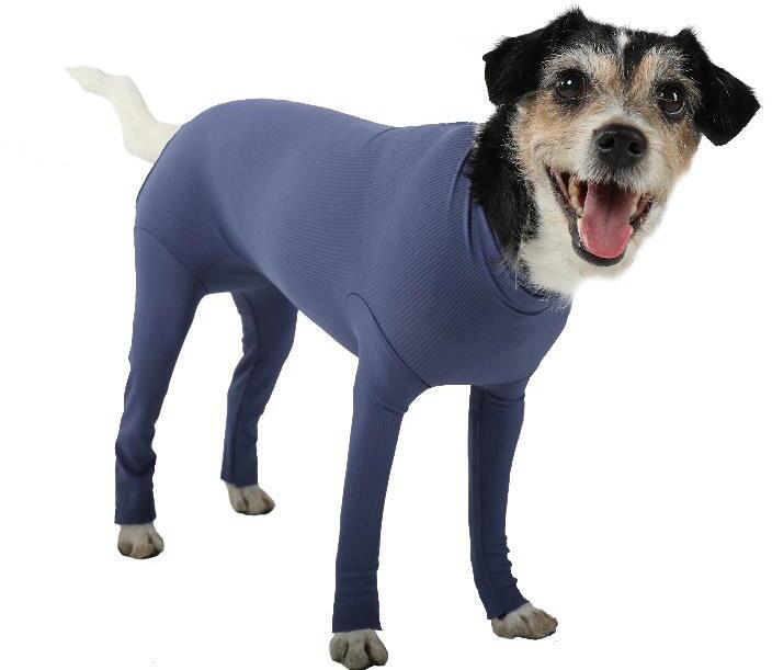 VetMedCare Dog Body mit Beinen, S+, blau, Hündin