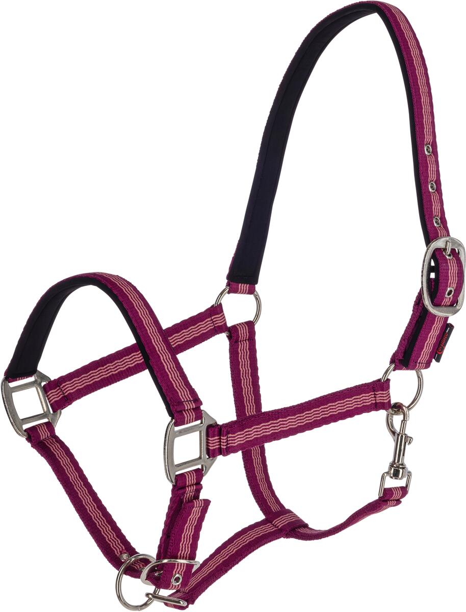 Covalliero Mustang Halfter, Full, brombeere