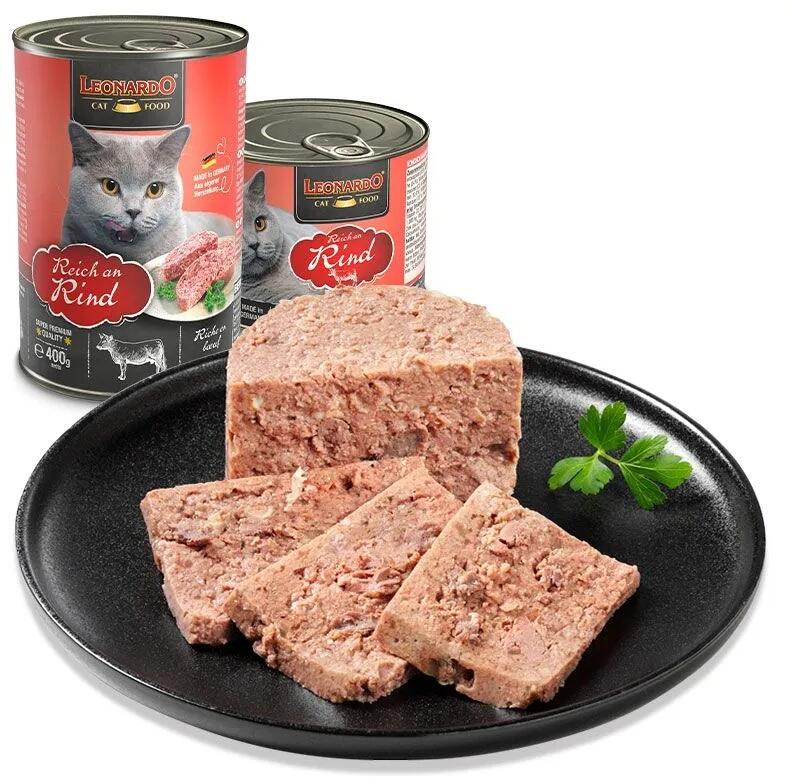 kratzbaum dicke stämme günstig Premium Katzen Kratzbaum XXL, 165cm, platzsparend – jamaxx-pets main image 1