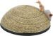Worldwise Scratch Disc