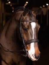 Briglia LeMieux Hunter, piatta, redini allacciate, havana/argento, Full