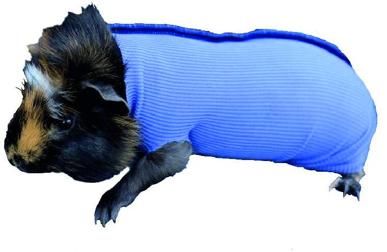 VetMedCare SAFETY TUBE | 1m | Blau | S (Durchmesser 3,5 cm)