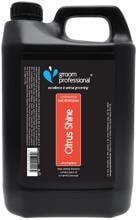 Groom Professional Citrus Shine Shampoo