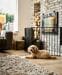 DogSpace Max L Griglia per caminetto