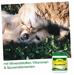 mangime complementare cdVet MicroMineral