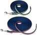 Coachi Training dog leash