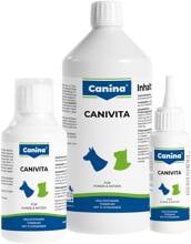 Canina Canivita