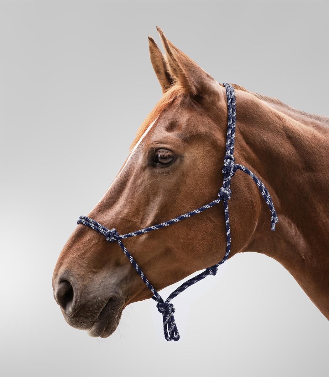 Waldhausen Knotenhalfter, nachtblau/silber, VB