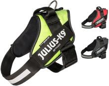 Julius K9 IDC® Powergeschirr®