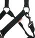 Cavezza LeMieux ProSafe, nero