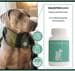reboVet COLOSTROGuard für Hunde und Katzen, 86g