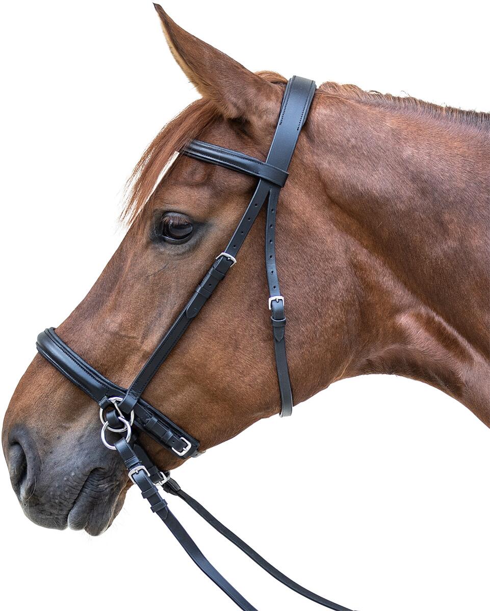 STAR Gebisslos Zaum, schwarz, Pony