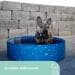 KERBL Pet Bubble Hundepool