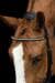 HKM Pro Anatomic Snaffle, black