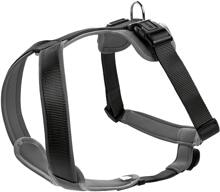 HUNTER neoprene harness, black/grey, M/1