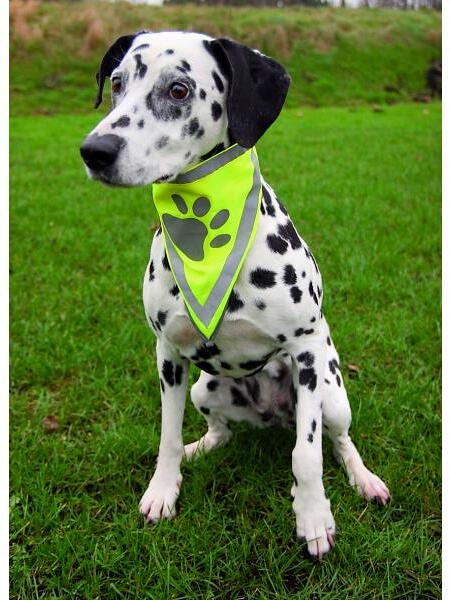 Trixie Sicherheitshalstuch | Neongelb | für Hunde | XS/S