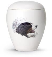 Urna funeraria per animali in ceramica Völsing, smaltata bianco opaco, con motivo del cane da pastore bernese dipinto a mano, 2,8 L
