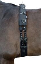 HKM lunging girth, softoprene padding, black, pony