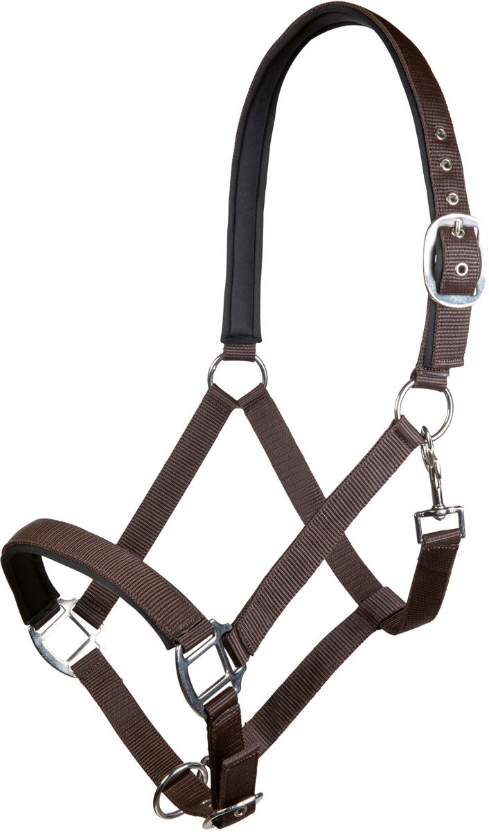 HKM Charming Halfter, weich unterlegt, braun, Kaltblut