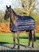 LeMieux Unterdecke, navy