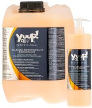 Yuup! Professional restrukturierendes Conditioner