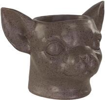 Fioriera con testa di chihuahua Happy House, grigio/taupe